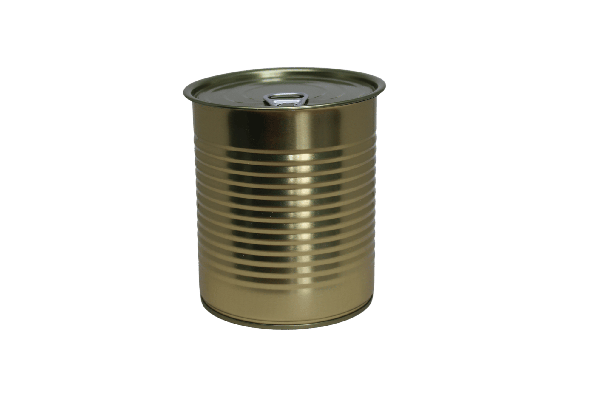 Konservendose für Lebensmittel 99 x 118 mm 850 ml mit Deckel / 62 Stk. / Zertifiziert